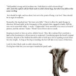 TSK-13.6Hardcover_no covers1 (Resized)_Page_35