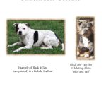TSK-13.6Hardcover_no covers1 (Resized)_Page_48